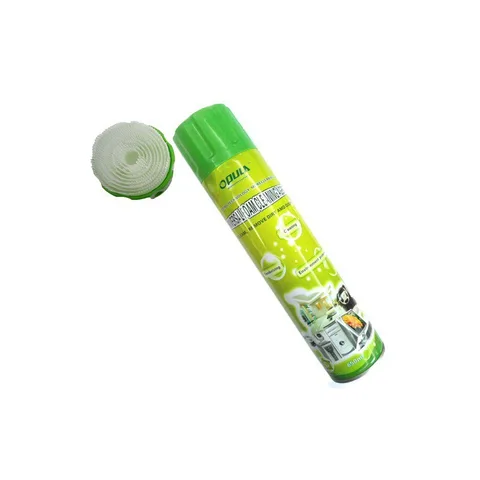 Bombe Nettoyage 650ML