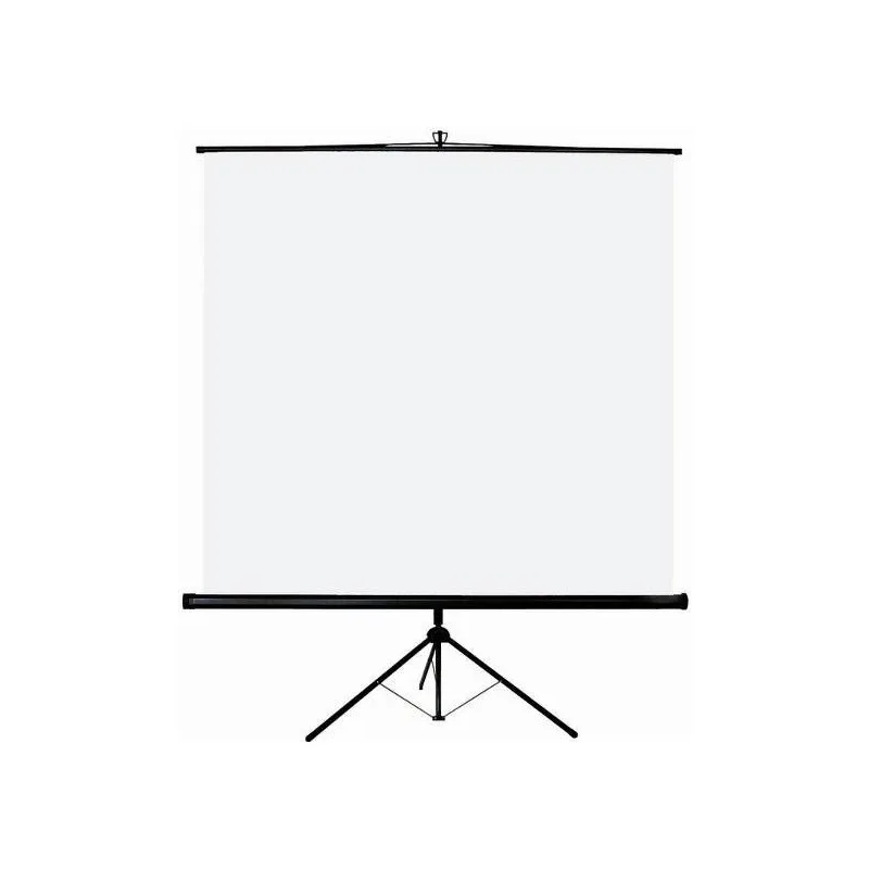 Havit Ecran Video Projecteur avec Tripied PS100