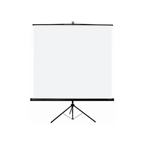 Havit Ecran Video Projecteur avec Tripied PS100