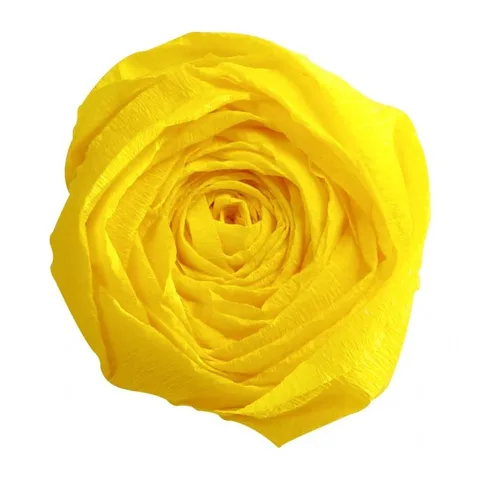 Bls 1 Papier Crepon Jaune 80-46 Cool School