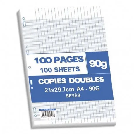 Copie Double 17*22 100P Seyes
