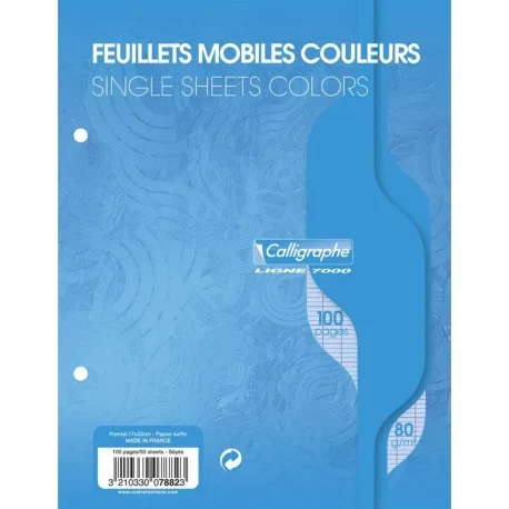 F de Classeur Bleu 17x22 100P Seyes