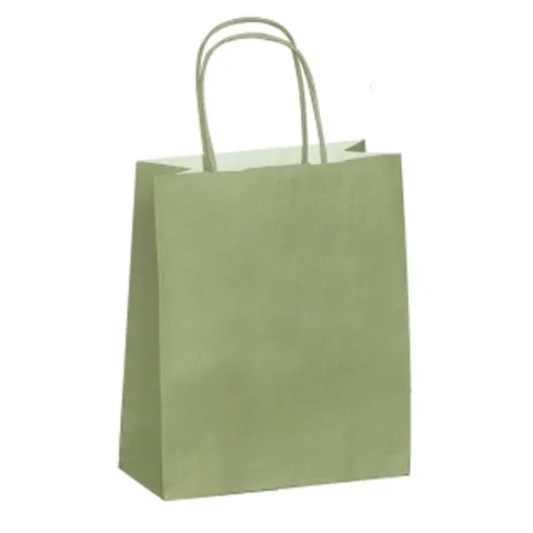 Sac Cadeau Kraft Ecru Vert Foncee 285*135*300