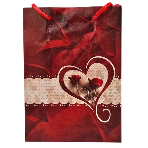 Sac Cadeau Mm 38/29/9