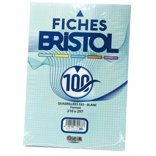 Paq Fiche Bristol Gm 21*29.7cm 5*5 Blanc 100F Yamama