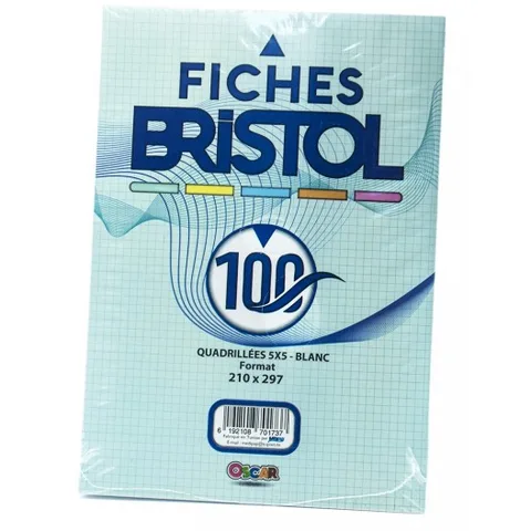 Paq Fiche Bristol Gm 21*29.7cm 5*5 Blanc 100F Yamama