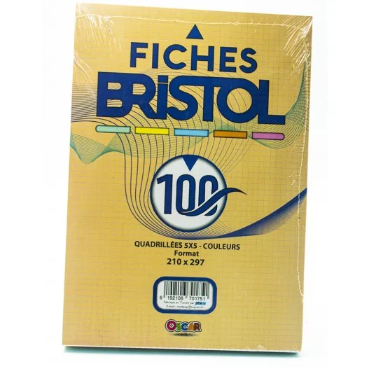 Paq Fiche Bristol Gm Couleurs 100F