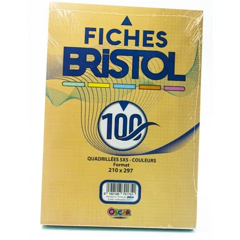 Paq Fiche Bristol Gm Couleurs 100F