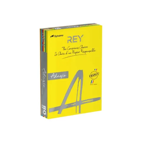 Papier Couleur A4 80g 500 Feuilles Couleurs Assorties – Rey Adagio