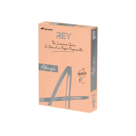 Papier Couleur A4 80g 500 Feuilles Saumon – Rey Adagio