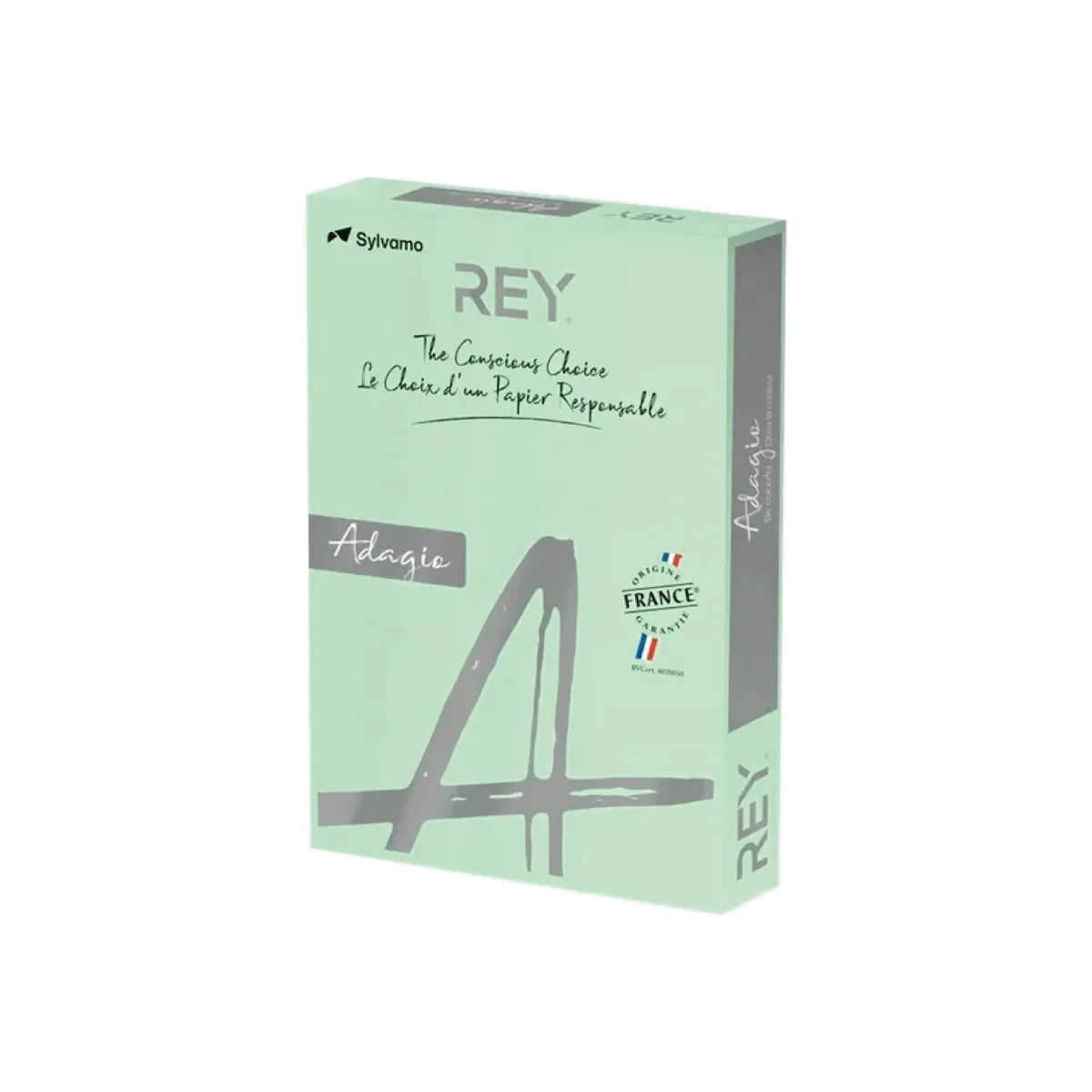 Papier Couleur A4 80g 500 Feuilles Vert Pastel – Rey Adagio