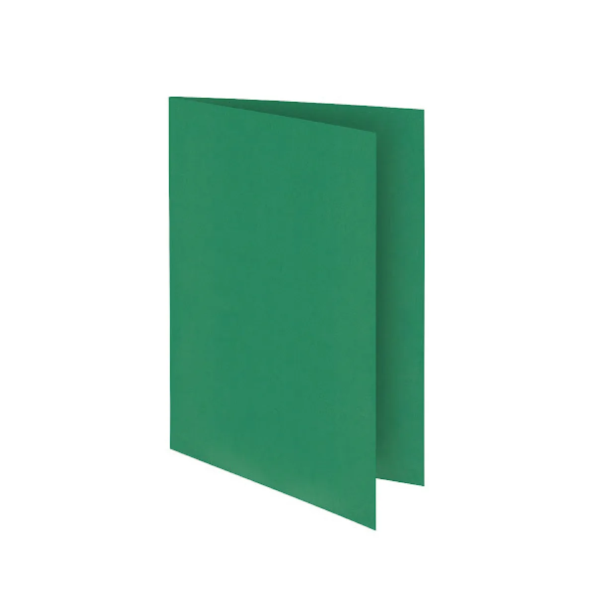 Chemise Bristol Vives Vert Fonce 160gr x100 – Ribat