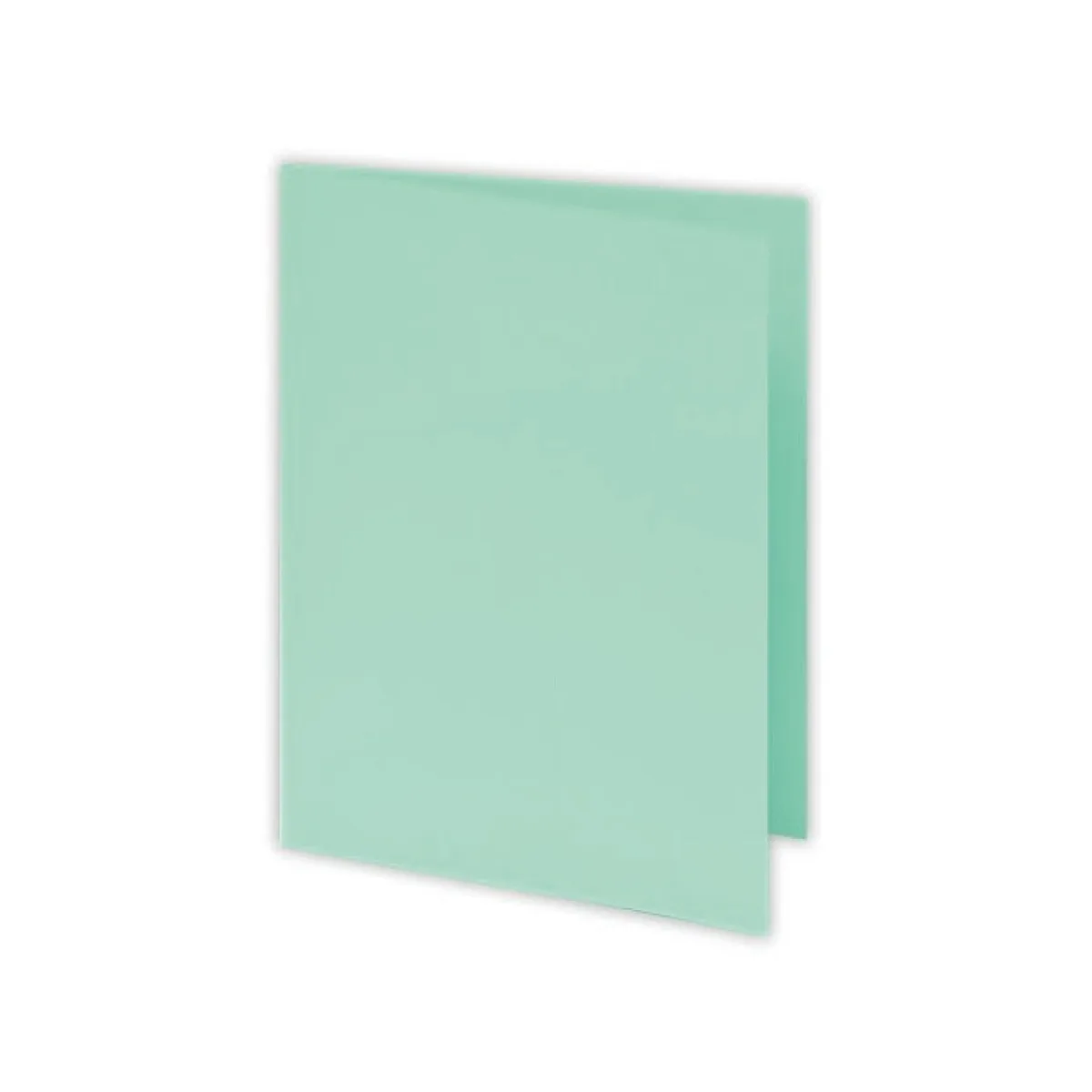 Chemise Bristol Pastel Vert 160GR PQT/100