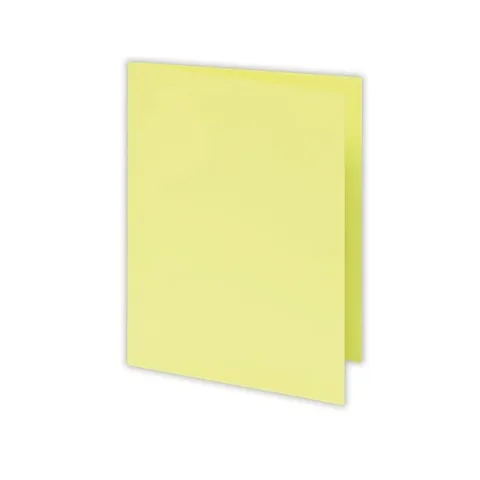 Chemise Bristol Pastel Jaune 160GR PQT/100