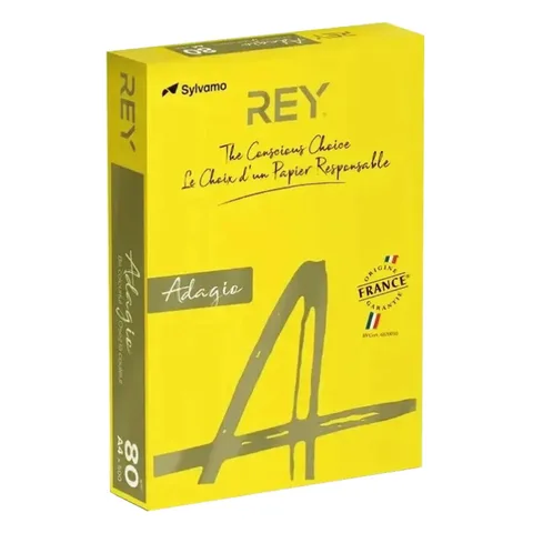 Papier Couleur A4 80g 500 Feuilles Jaune Canari Pastel – Rey Adagio