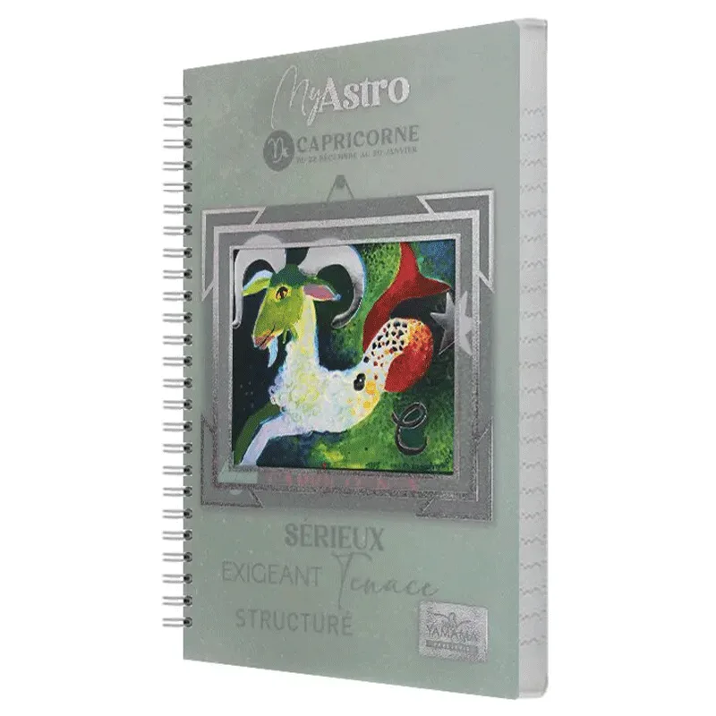 Cahier spirale 300 Pages Petit Format Couverture Plastique Fantaisie 70 g/m² – YAMAMA