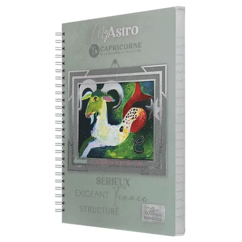 Cahier spirale 300 Pages Petit Format Couverture Plastique Fantaisie 70 g/m² – YAMAMA