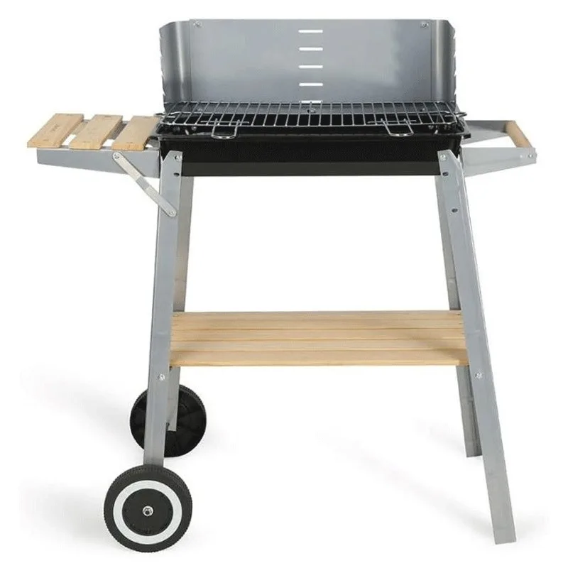Livoo Barbecue à Charbon DOC244