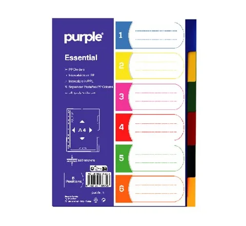Jeu D'intercalaire en PP Mensuel Essential A4 12 Positions – Purple