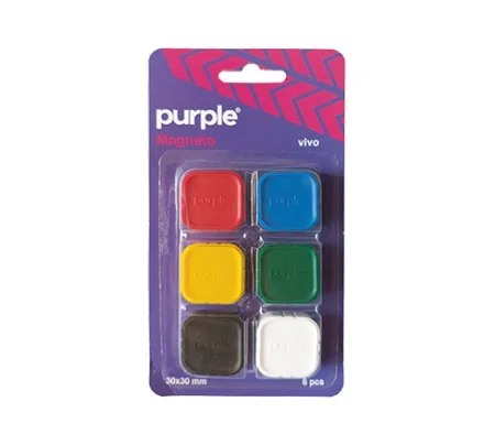 Blister Aimants Magneto Vivo 6 – Purple