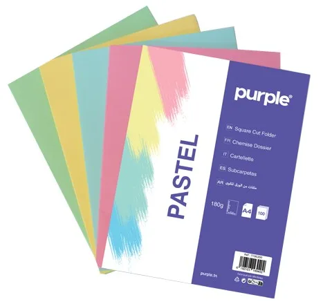 Chemise Bristol Pastel A4 10 Feuilles – Purple