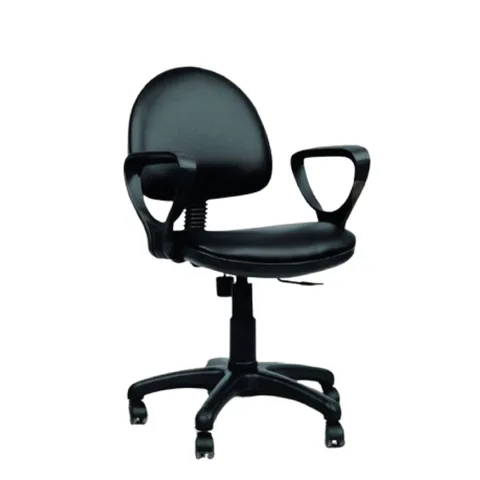 Chaise Enfant Ergokid Disney avec Accoudoirs