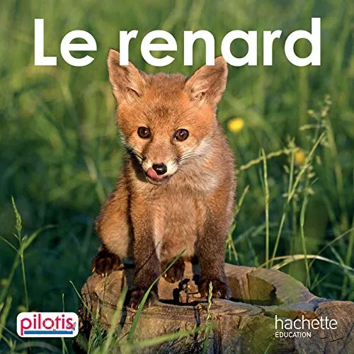 Lecture Cp - Collection Pilotis - le Renard - Album - Édition 2019