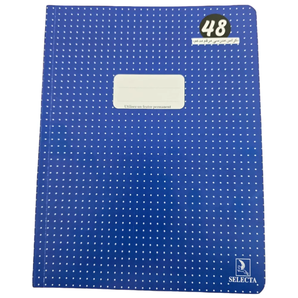 Cahier brochure 17×22 192 pages Séyès – SELECTA