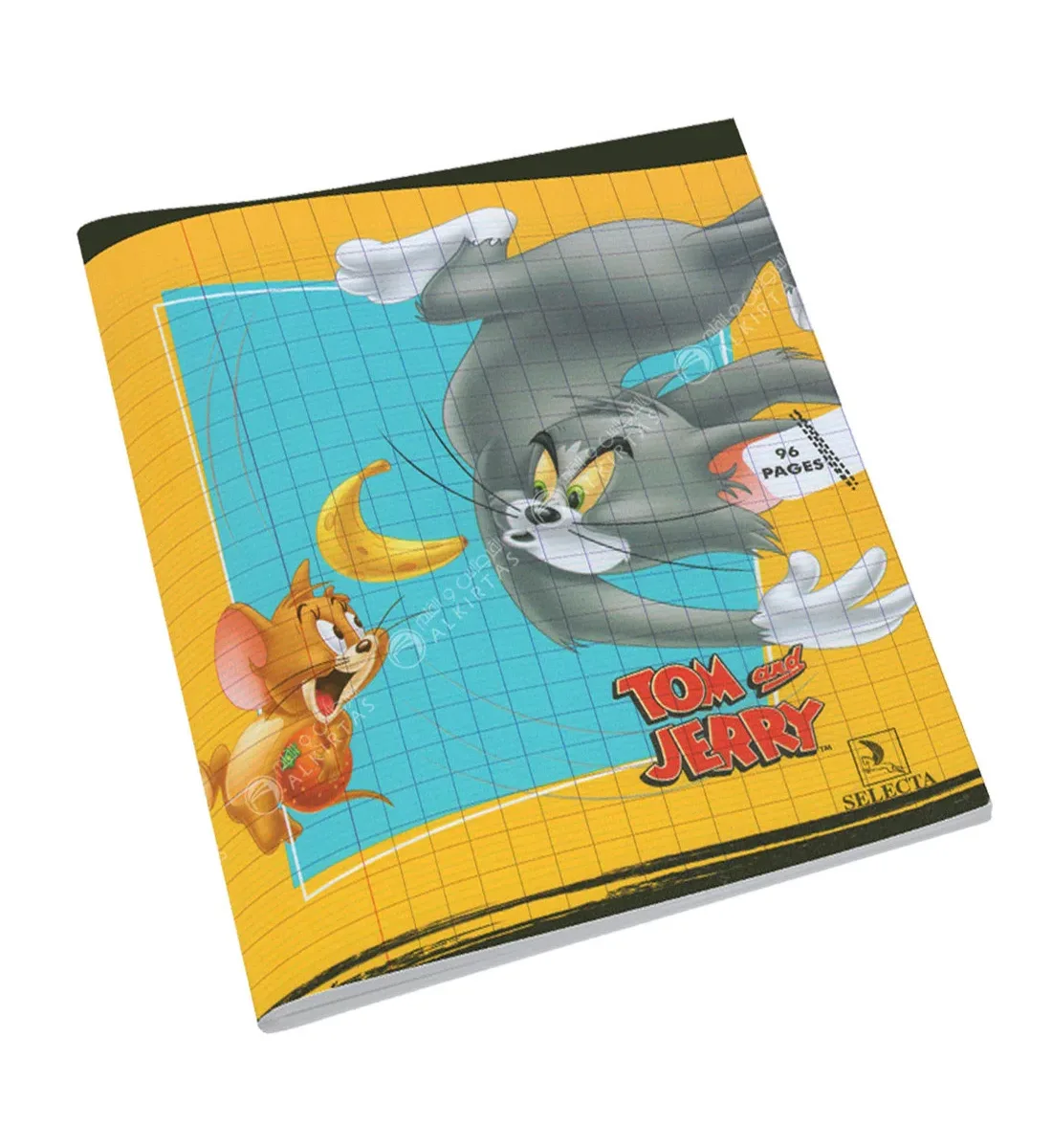 Cahier piqûre 96 pages Séyès 90g Girl – SELECTA