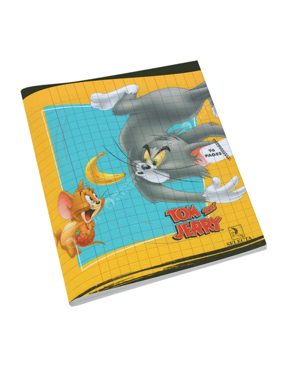 Cahier piqûre 96 pages Séyès 90g Girl – SELECTA