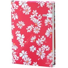 Registre 21×29,7 (A4) 288 pages Séyès 60g – SELECTA