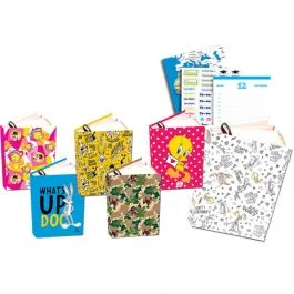 Agenda scolaire 12×17 368 pages – SELECTA