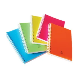 Carnet 9×14 160 pages 5×5 – SELECTA