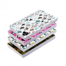 Carnet 9×14 220 pages 5×5 – SELECTA
