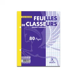 Copies doubles perforées 17×22 100 pages Séyès – SELECTA