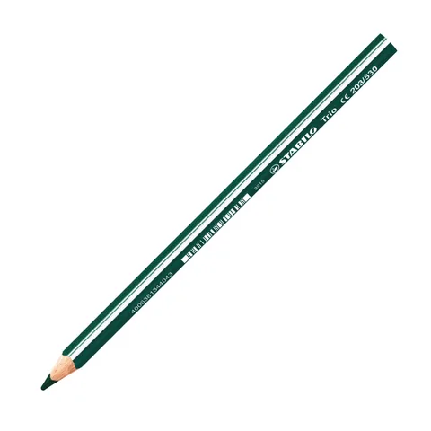 Crayon de Couleur Trio Thick Vert Feuille – Stabilo