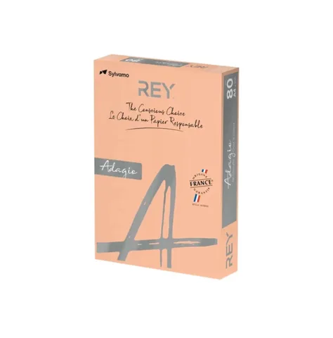 Papier Couleur A4 80g 500 Feuilles Saumon – Rey Adagio