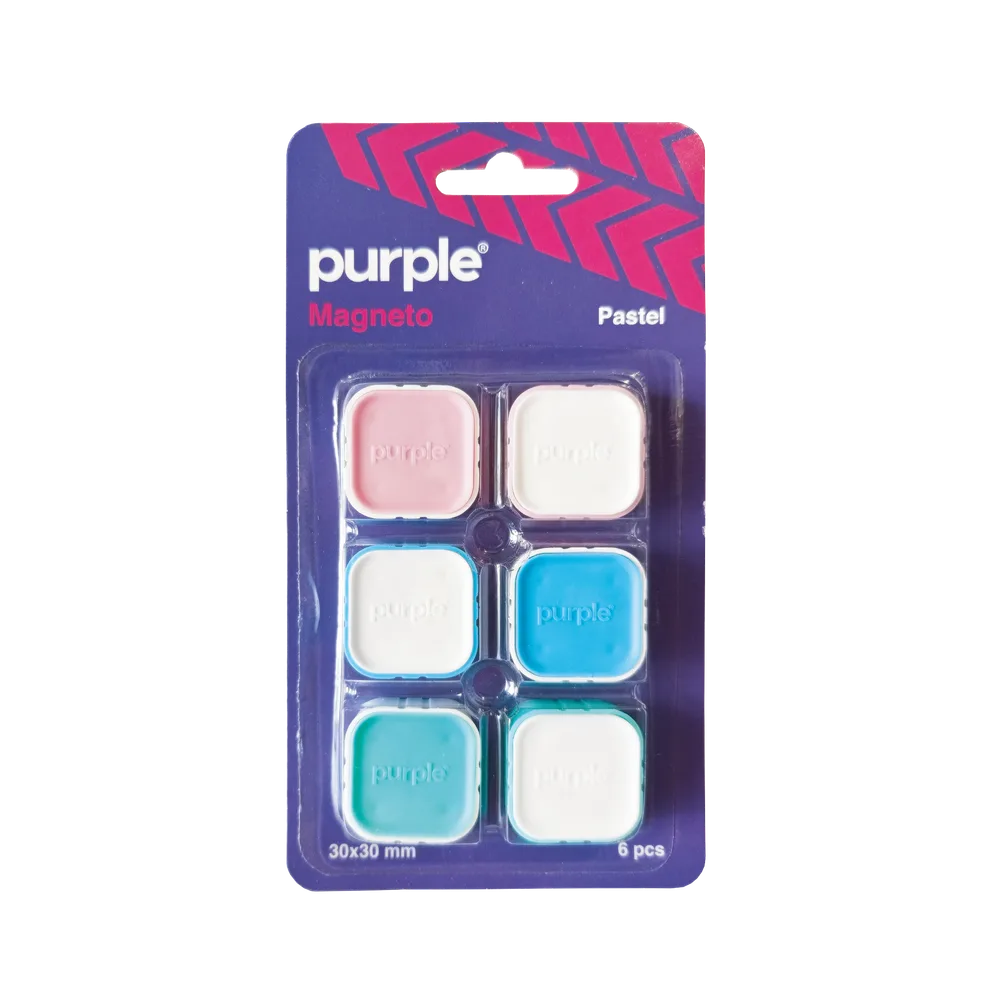 Blister 6 Aimants Magneto PASTEL