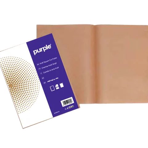 Paquet de 30 Chemises Dossier KRAFT ESSENTIAL