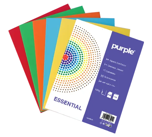 Paquet de 10 Chemises Cartonnées Couleurs Vives ESSENTIAL