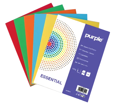 Paquet de 10 Chemises Cartonnées Couleurs Vives ESSENTIAL