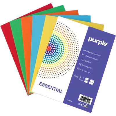 Paquet de 10 Chemises Cartonnées Couleurs Vives ESSENTIAL