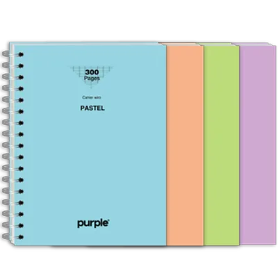 Cahier Wire-O 17x22 NEU PASTEL 300 Pages