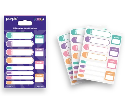36 Étiquettes scolaire autocollantes Schola VI