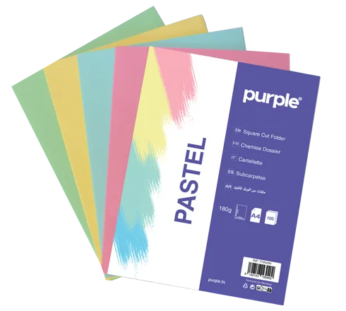 Paquet de 100 Chemises Cartonnées Couleurs PASTEL