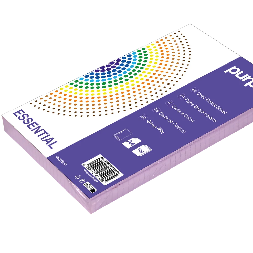 Fiche Bristol Essential 200cm X 125cm