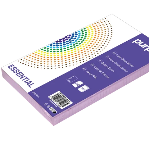 Fiche Bristol Essential 200cm X 125cm
