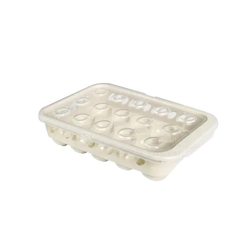 Boîte à œufs 15 cases
