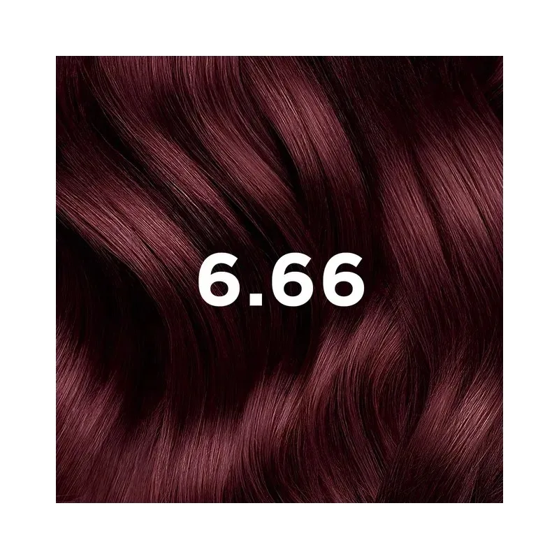PHYTO Color Coloration Permanente Chatain Clair Cerise Intense 6.66 — photo 2