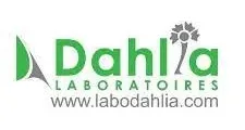 DAHLIA
